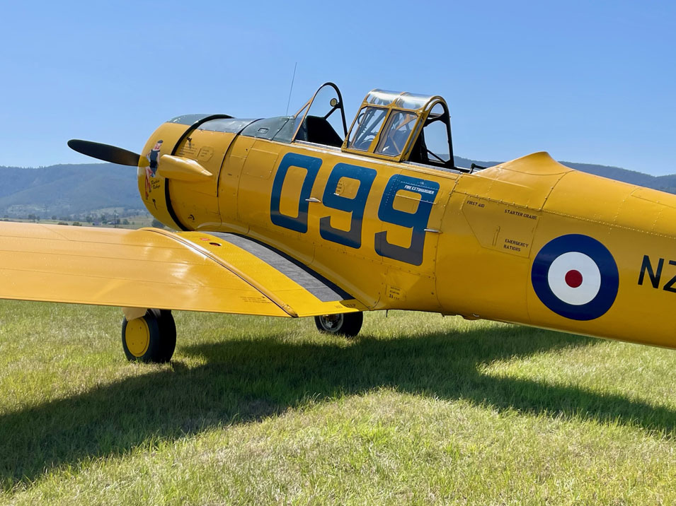 Harvard plane sitting on grass field