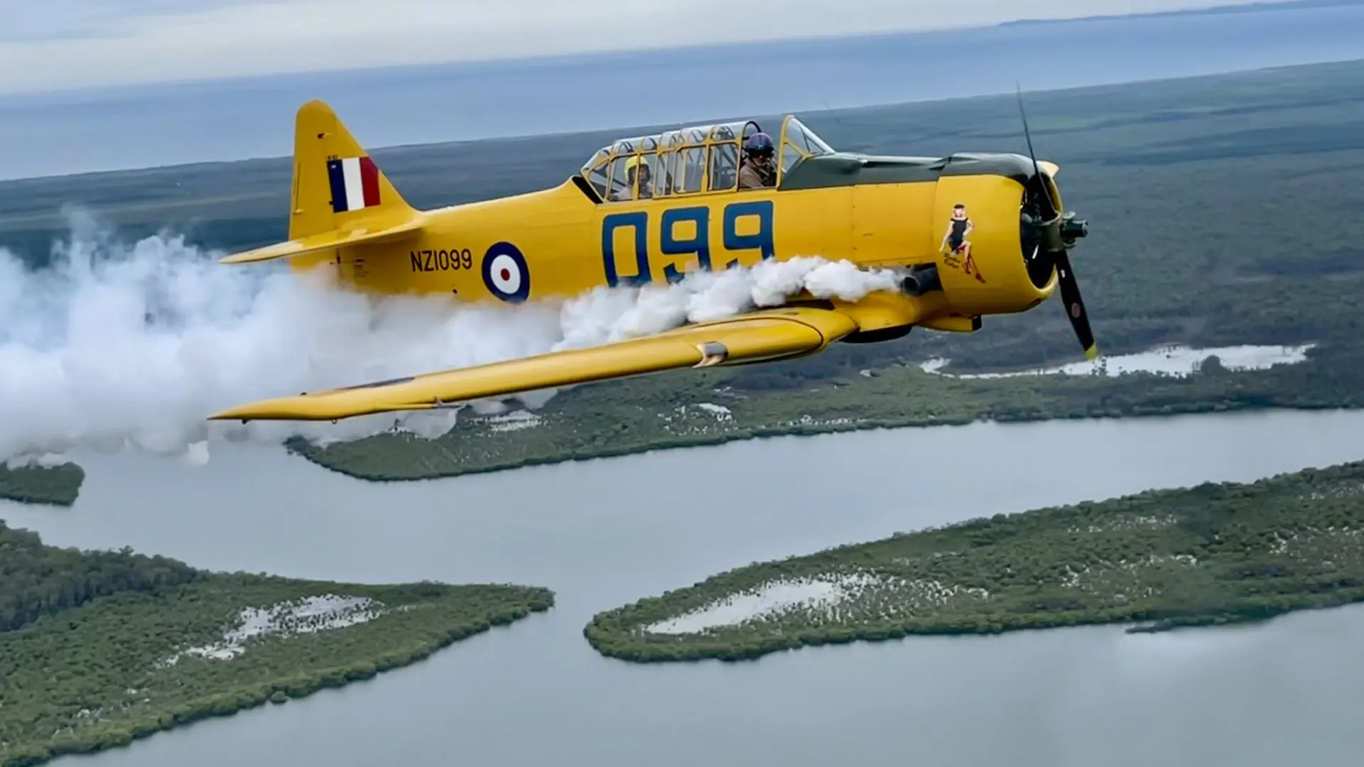 A yellow Harvard plane flying over the Sunshine Coast