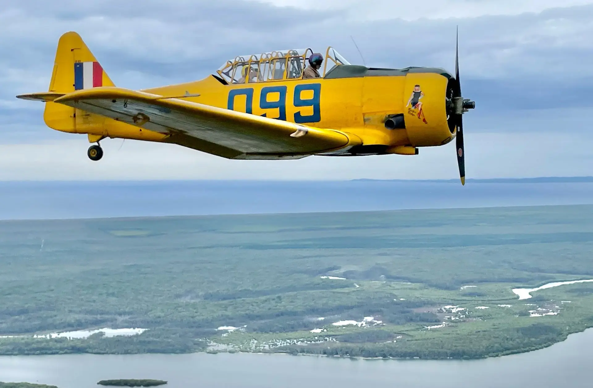 A yellow Harvard plane in the sky